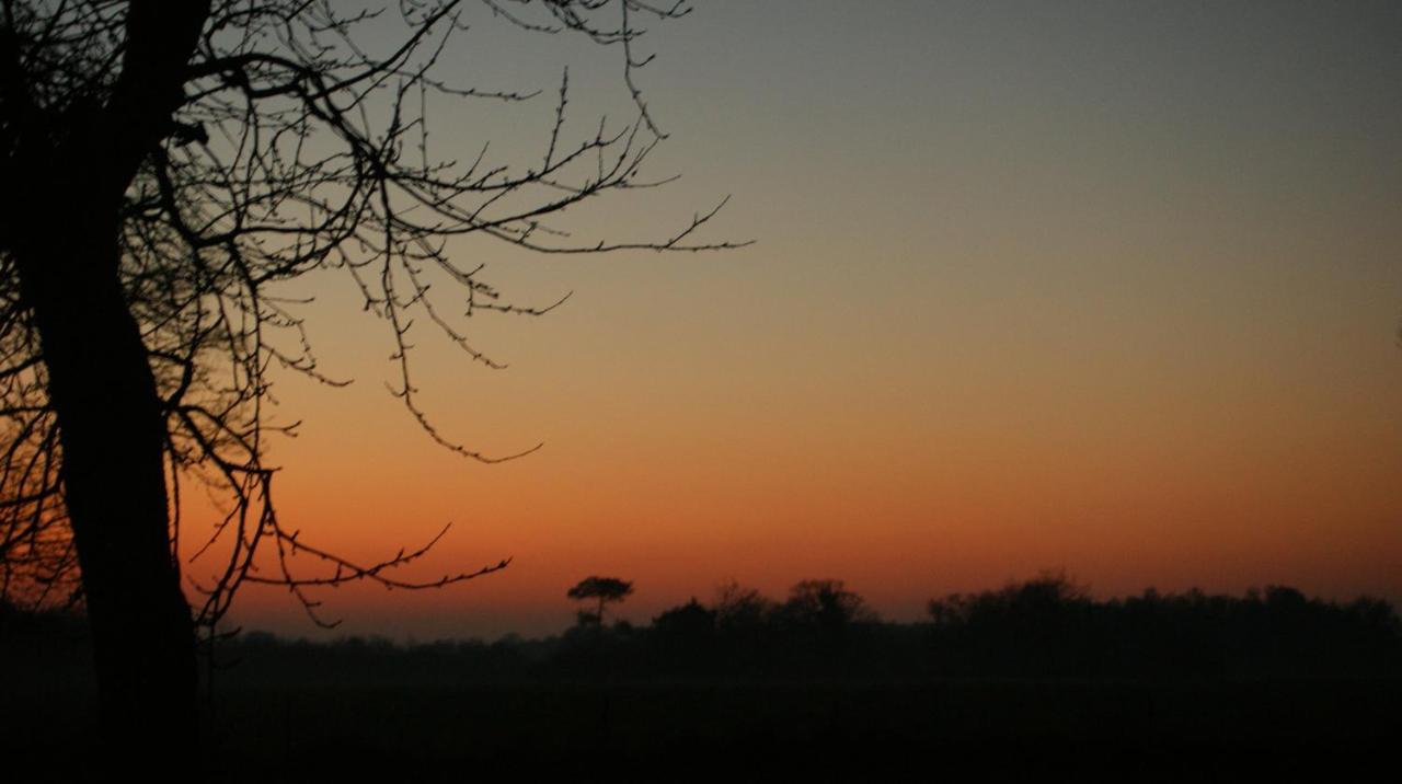 Gite Le Coucher De Soleil Plessé Exterior foto